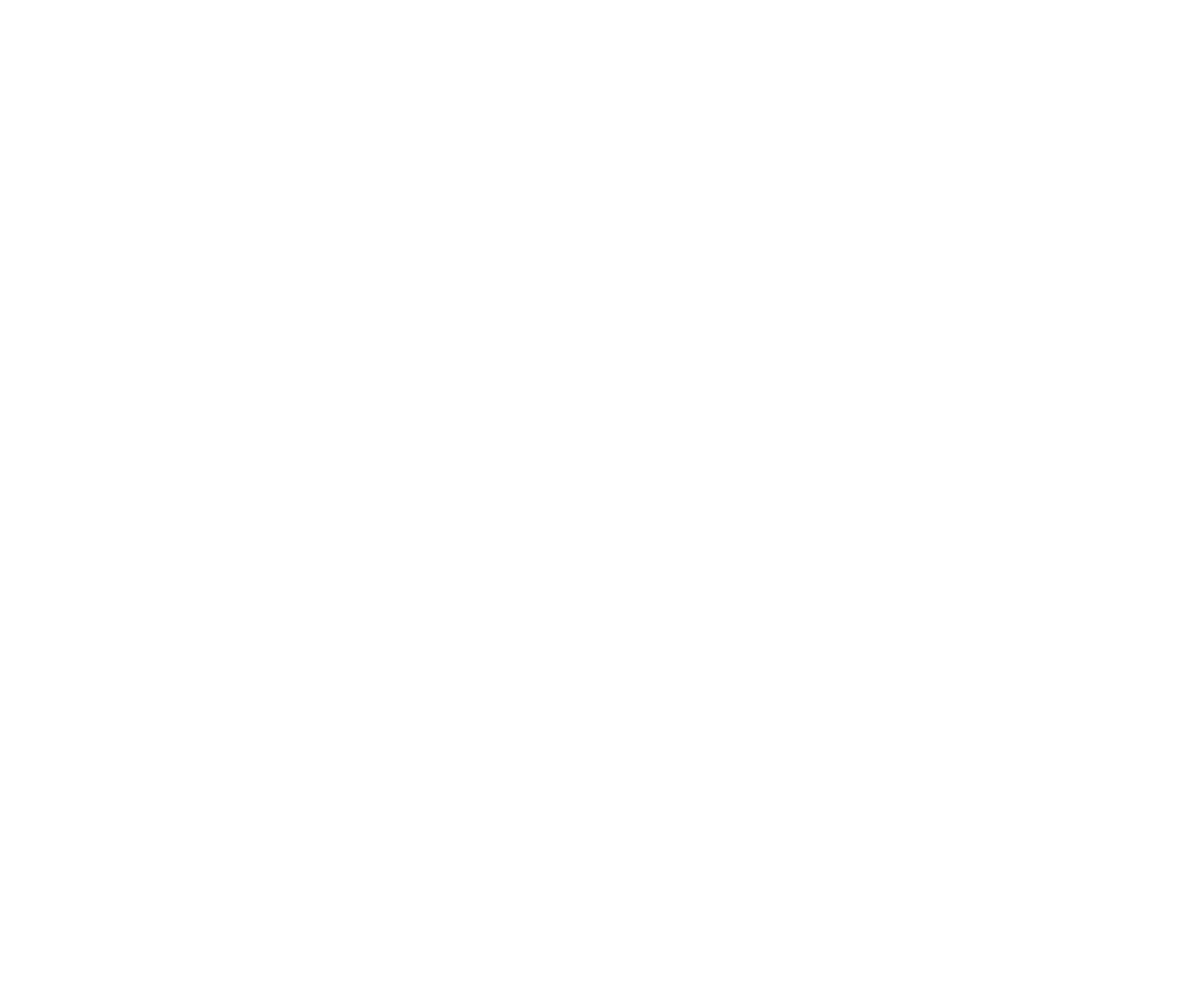 LOGO_SKYLION_BLANC